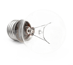 Bulb